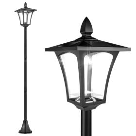 Single Solar Lamp Post